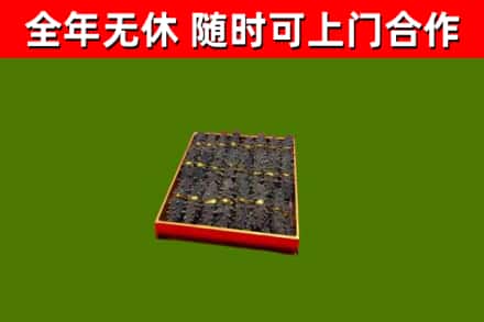 石渠县回收海参